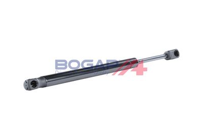 AMORTIZOR PORTBAGAJ BOGAP R5260119