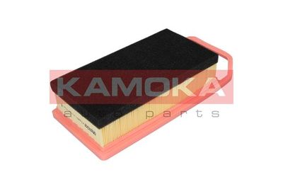 Air Filter F223801