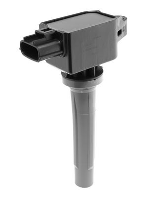 запалителна бобина BorgWarner (BERU) ZS638