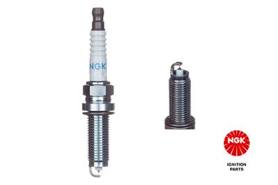 Spark Plug 95660