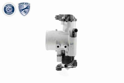 CARCASA CLAPETA ACKOJA A53810002 6