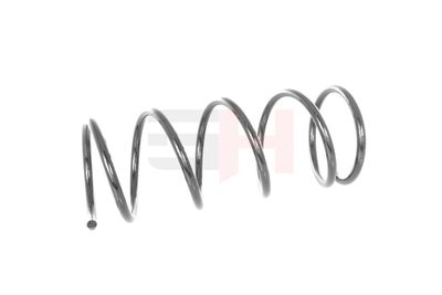 ARC SPIRAL GH GH223203 6