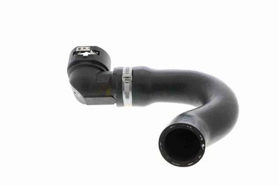 FURTUN RADIATOR VAICO V240869 6