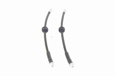 FURTUN FRANA VAICO V240091 5