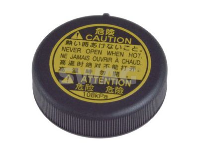 BUSON VAS EXPANSIUNE