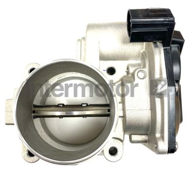 Throttle Body Intermotor 68451