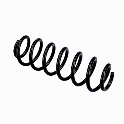 ARC SPIRAL EIBACH R10793 9