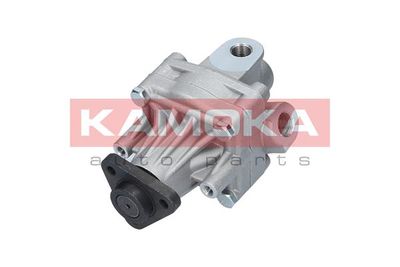 Hydraulic Pump, steering PP016