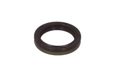 SIMERING ARBORE COTIT