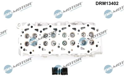 CHIULASA Dr.Motor Automotive DRM13402 1