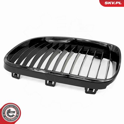 GRILA RADIATOR ESEN SKV 66SKV112 9