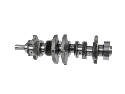 ARBORE COTIT ET ENGINETEAM HK0130 18