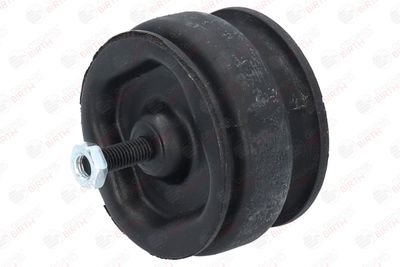 SUPORT MOTOR BIRTH 5527 3