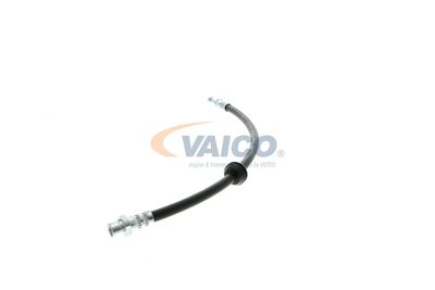 FURTUN FRANA VAICO V204107 16