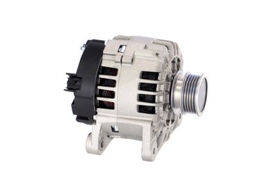 GENERATOR / ALTERNATOR REMANTE 011003000135R 46