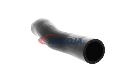 FURTUN EAR SUPRAALIMENTARE ACKOJA A529600 43