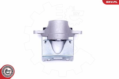 Brake Caliper 50SKV311