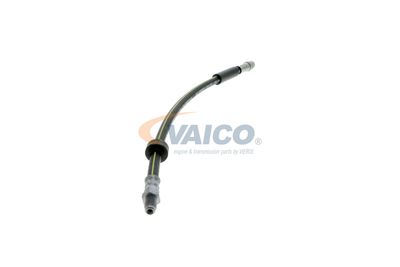 FURTUN FRANA VAICO V461009 49