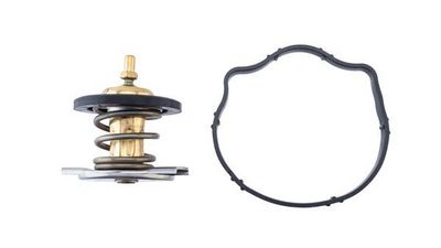 TERMOSTAT LICHID RACIRE MAHLE TX49487D