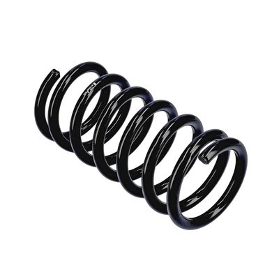 ARC SPIRAL EIBACH R13306 10