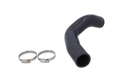 FURTUN EAR SUPRAALIMENTARE