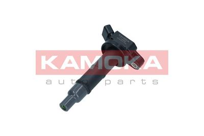 Ignition Coil 7120030