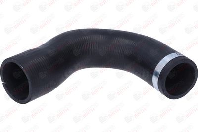 FURTUN EAR SUPRAALIMENTARE BIRTH 55956 12