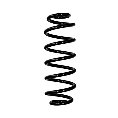 ARC SPIRAL EIBACH R10141 25