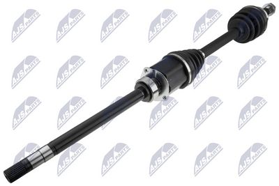 NPW-FT-116