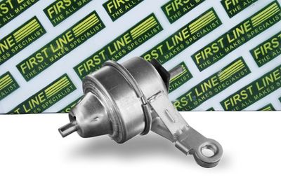 окачване, двигател FIRST LINE FEM4300