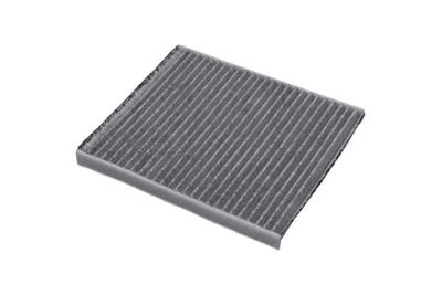 FILTRU AER HABITACLU AMC Filter FCA10263C 18