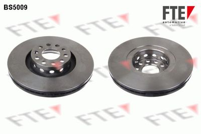 Brzdový kotouč FTE 9071302