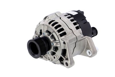 GENERATOR / ALTERNATOR REMANTE 011003000110R 65