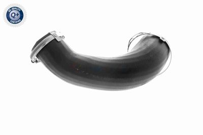 LADELUFTSCHLAUCH VAICO V251058 5