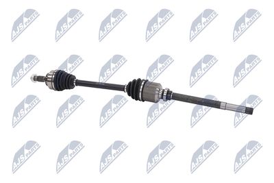 PLANETARA NTY NPWCT009 26