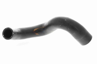 FURTUN RADIATOR VAICO V461233 6