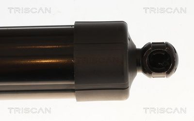 Plynárenská vzpera (pneumatická pružina), zavazadlový priestor TRISCAN 8710 25301