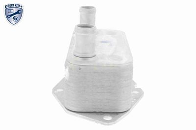 RADIATOR ULEI ULEI MOTOR VEMO V20600062 8