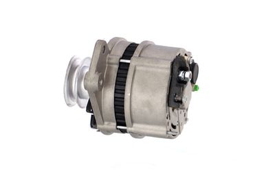 GENERATOR / ALTERNATOR REMANTE 011003000127R 19