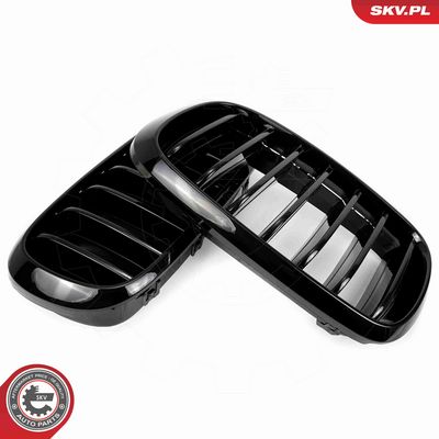 GRILA RADIATOR ESEN SKV 66SKV294 4