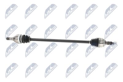 PLANETARA NTY NPWPL175 8