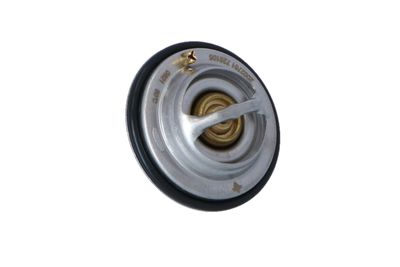 TERMOSTAT LICHID RACIRE NRF 725105 43