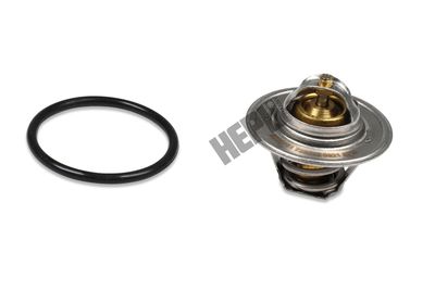 TERMOSTAT LICHID RACIRE HEPU TM1243 1