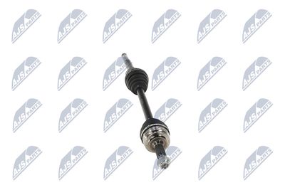 PLANETARA NTY NPWPE017 15