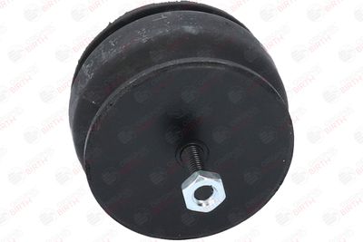 SUPORT MOTOR BIRTH 5527 7