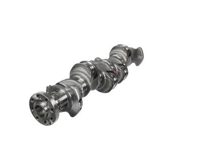 ARBORE COTIT ET ENGINETEAM HK0211 14