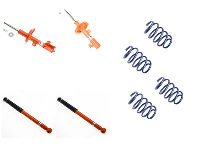 SET SUSPENSIE ARCURI ELICOIDALE / AMORTIZOARE