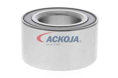 SET RULMENT ROATA ACKOJA A320020 18