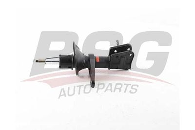 BSG BSG 15-300-048 Амортизаторы  для LAND ROVER FREELANDER I Soft Top (L314) 2.0 DI 4x4