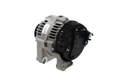 GENERATOR / ALTERNATOR REMANTE 011003000090R 20